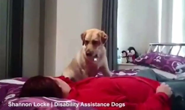 Žena snimila epileptični napad da svi vide što njen pas tada radi