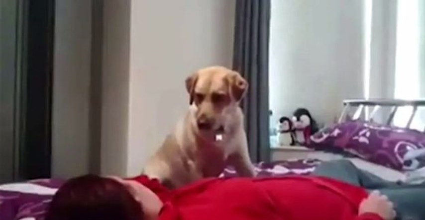Žena snimila epileptični napad da svi vide što njen pas tada radi