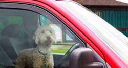 VIDEO Tako se to radi: Da spasi psa kamenom razbio prozor na tuđem BMW-u