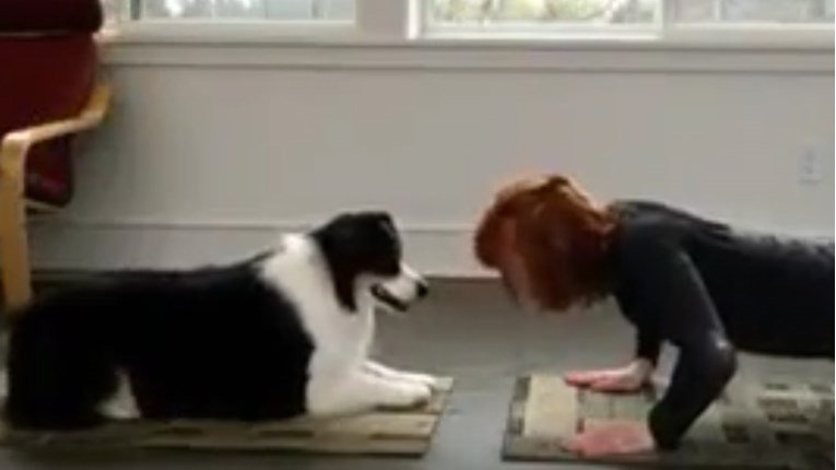 Ovako se vježba joga sa psom!