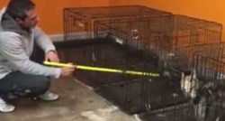 UHVAĆEN NA DJELU Trener pasa snimljen kako mlati nemoćnog psa, zatvorenog u boxu