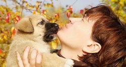 Od psa dobivate poljupce?! Znate li zašto psi ližu ljude?