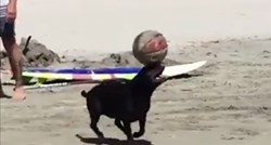 VIDEO Ovaj pas oduševio je sve ljude na plaži