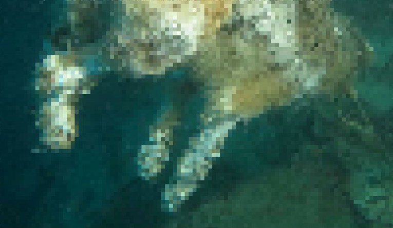 UZNEMIRUJUĆA FOTOGRAFIJA Ronioci kod Pašmana pronašli utopljenog psa s kamenom oko vrata