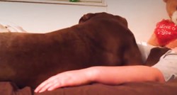 VIDEO Bez svog psa ova žena bila bi u opasnosti