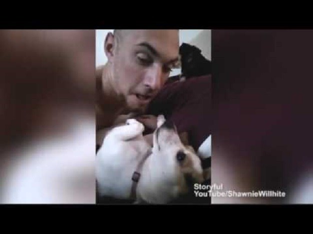 VIDEO Ovaj pas stvarno voli vlasnikove poljupce! A vaš ljubimac?