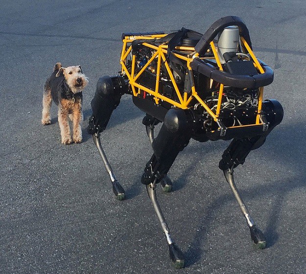 Svaka čast Googleu, ali psi roboti nikad neće zamijeniti pse poput Cosma