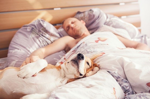 Sa psom ili mačkom dijelite krevet? Znate li što to znači?
