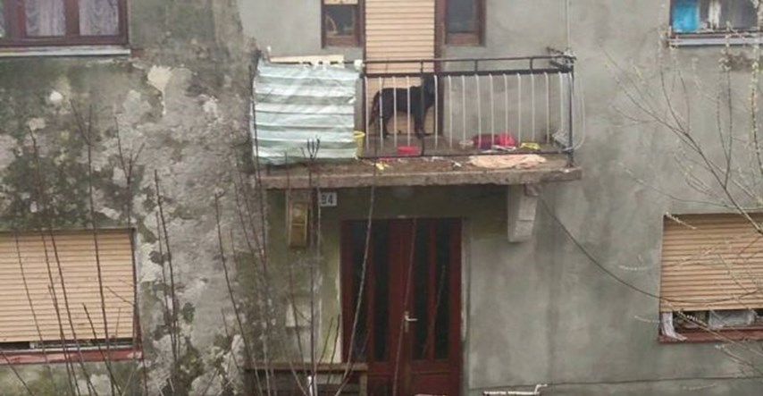 Pas koji je tri mjeseca bio zatočen na balkonu u okolici Rijeke sad je napokon spašen