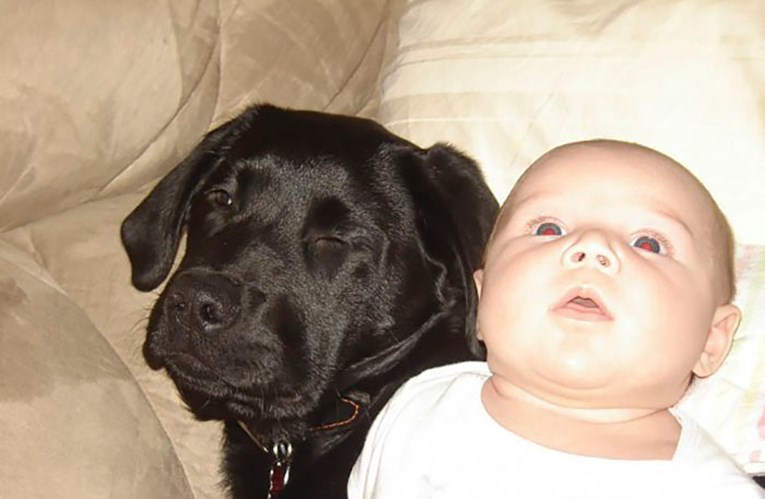 Rekla je sestri da ne treba udomiti psa jer ima bebu, a ona je nije poslušala