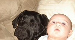 Rekla je sestri da ne treba udomiti psa jer ima bebu, a ona je nije poslušala
