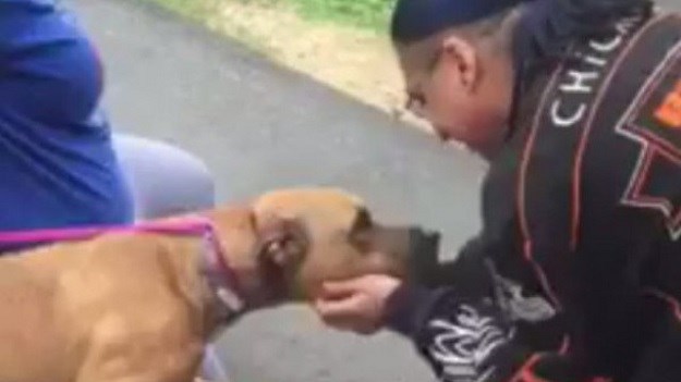 VIDEO Dirljiv susret: Pas i vlasnik sreli se nakon dvije godine