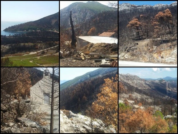 Mjesec dana od požara na Pelješcu: Nekadašnji raj sad je samo spaljena zemlja