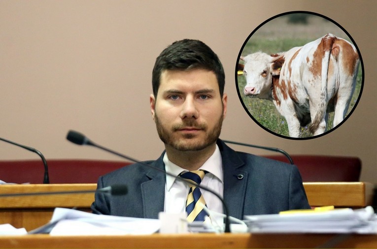 Pernar: Prestanite jesti meso, krave prde i pregrijavaju planet