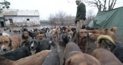 Muškarac iz Srbije svakog dana brine se da 450 napuštenih pasa ne završi na ulici