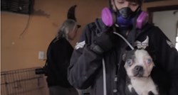 Pronašli su više od stotinu pasa u kući koju su predstavljali kao prihvatilište za životinje