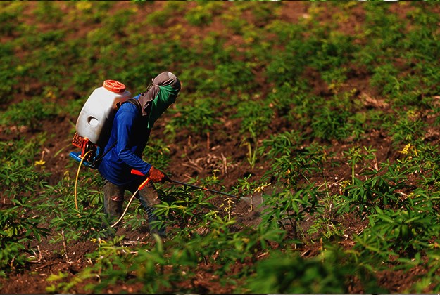 PROPAST POLJOPRIVREDE Hrvatska može hraniti pola Europe? To je glupost