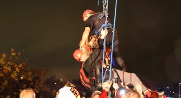 Pas vatrogascu koji ga je spasio iz poplave zahvalio psećim pusama