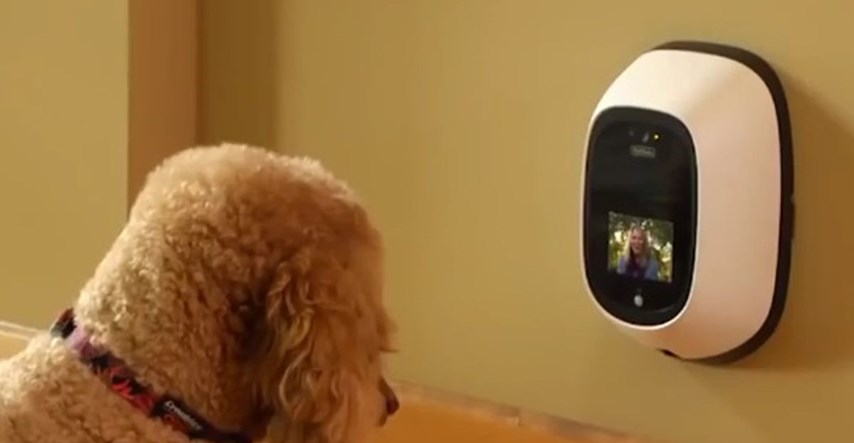VIDEO Zamislite da s posla možete nazvati svog psa i provjeriti kako je - sada je to moguće