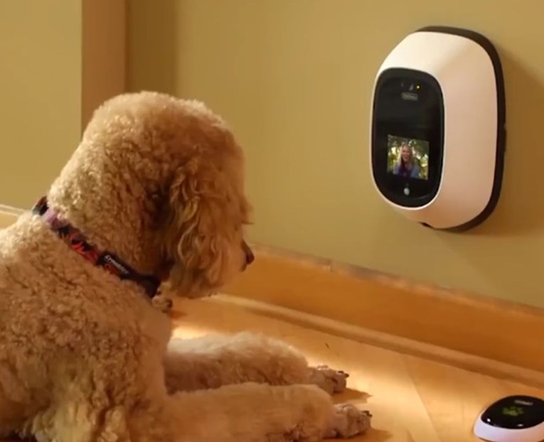 VIDEO Zamislite da s posla možete nazvati svog psa i provjeriti kako je - sada je to moguće
