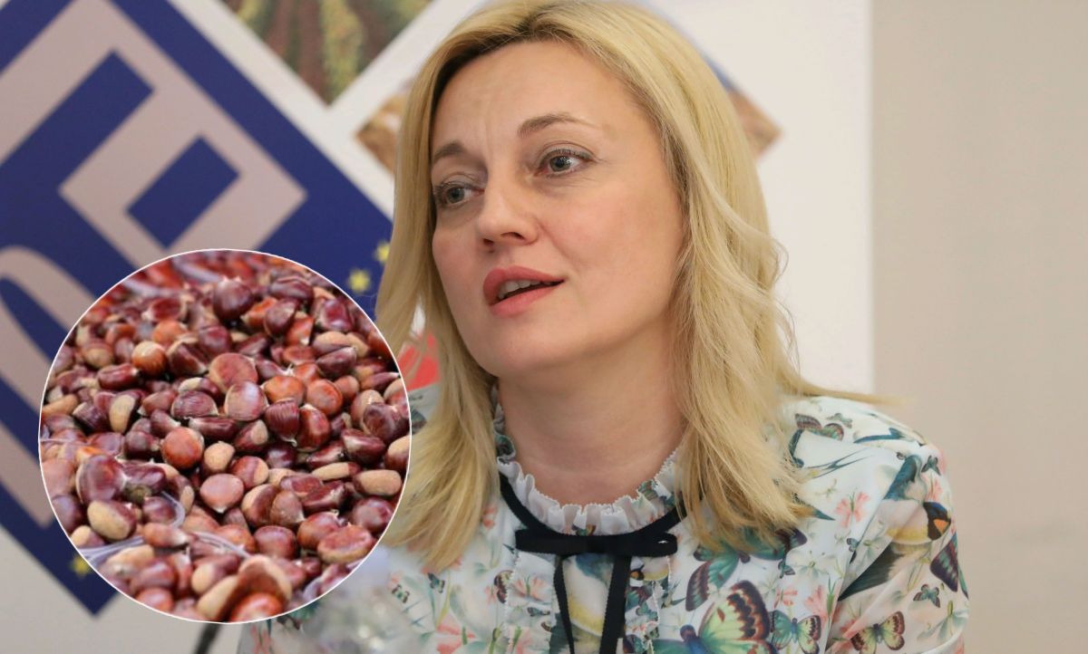Kostajnička Kestenijada uvrštena na kartu "Okusi Europe“