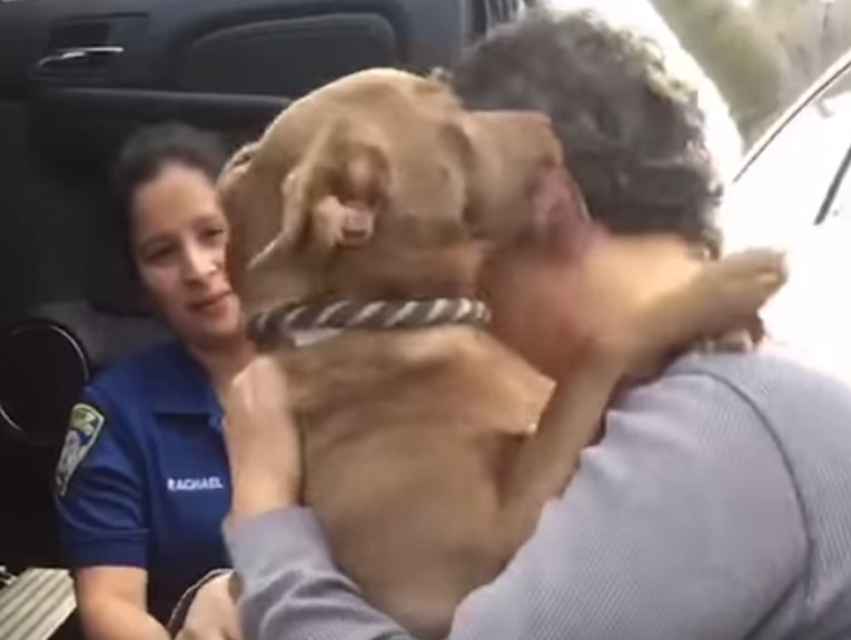 VIDEO Reakcije pasa koji napuštaju azile i odlaze u svoje nove domove