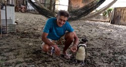 Svake godine ovaj se pingvin vraća čovjeku koji ga je spasio od sigurne smrti