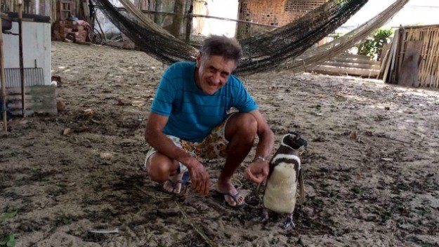 Svake godine ovaj se pingvin vraća čovjeku koji ga je spasio od sigurne smrti