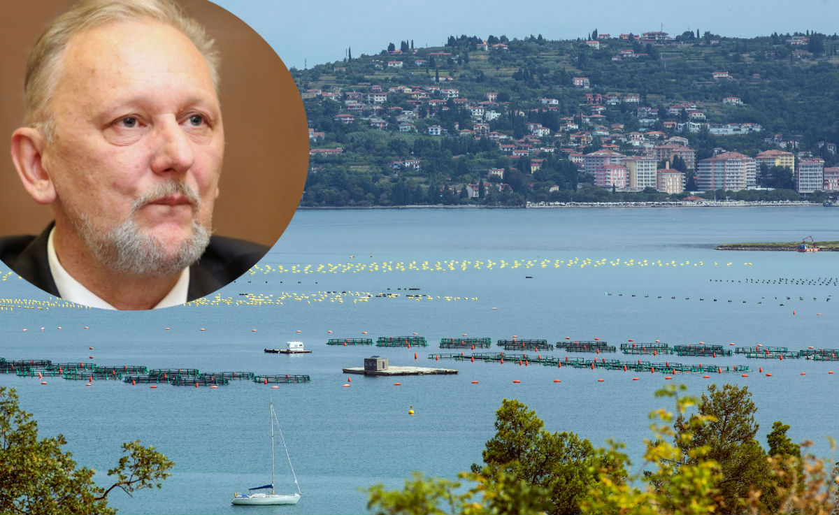 Božinović: Ili je proces čist ili je kontaminiran, ovdje je jasno o čemu se radi