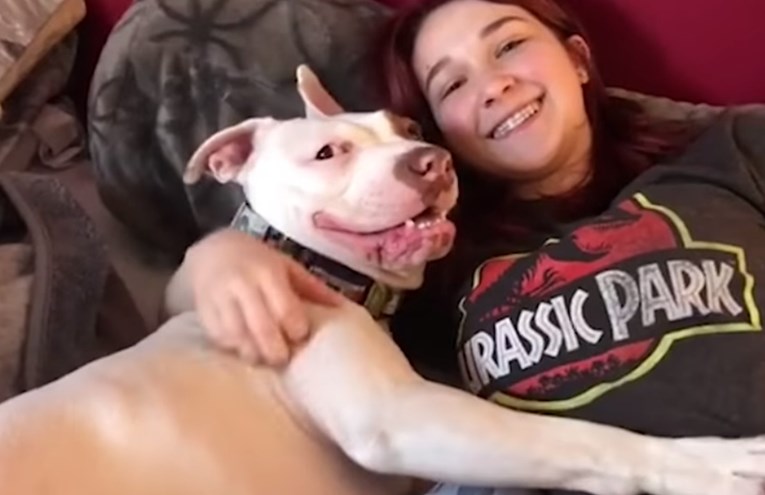 VIDEO Ovaj pit bull ne prestaje ljubiti svoju najbolju prijateljicu