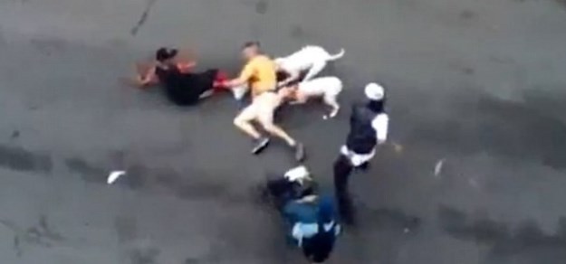 Uznemirujuća snimka: Dva pitbulla skoro rastrgala čovjeka na ulici u New Yorku