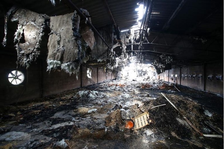 Izgorjelo gotovo 20,000 pilića na farmi u Ivanić Gradu