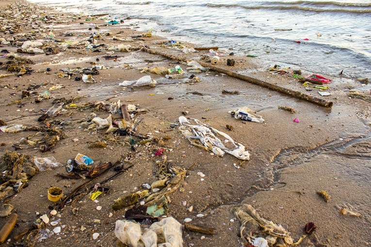 Znanstvenici upozoravaju: Mikroplastika predstavlja prijetnju velikim morskim životinjama