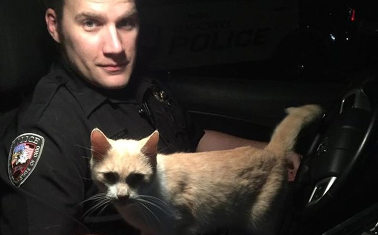 FOTO Ovaj je mačak odlučio začiniti večer jednom policajcu na presladak način