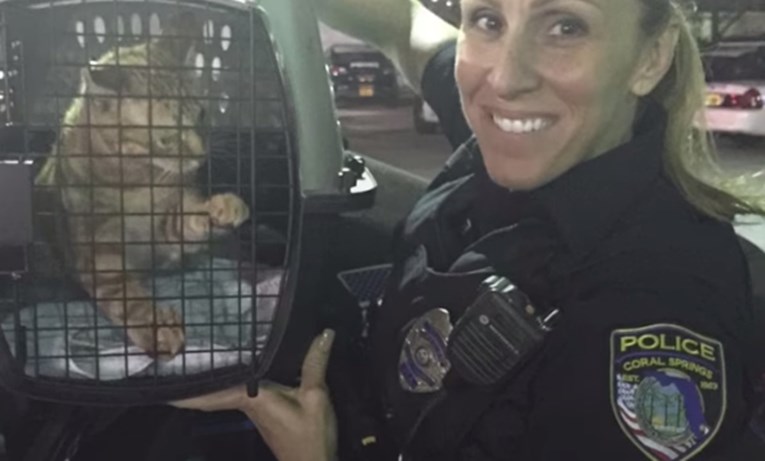 VIDEO Policajka se odlučila brinuti za sve mace koje pronađe dok je na dužnosti