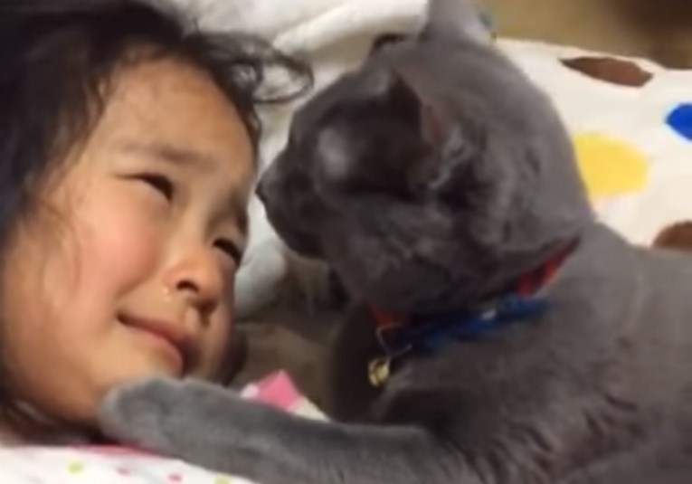 VIDEO Maca je tješila uplakanu djevojčicu i time dokazala da i one imaju osjećaje