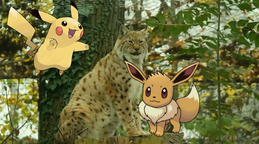 Zoološki vrt zaradio 12.000 eura zahvaljujući Pokemonima