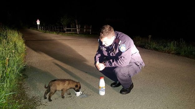 Gesti ovog policajca divi se cijela Hrvatska: "Nečovjek ga je ostavio da umre od gladi i žeđi"