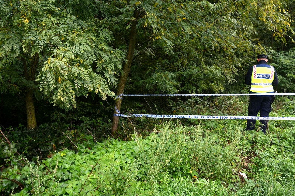 Muškarac kod Daruvara pilio drva, komad stabla mu pao na glavu i usmrtio ga