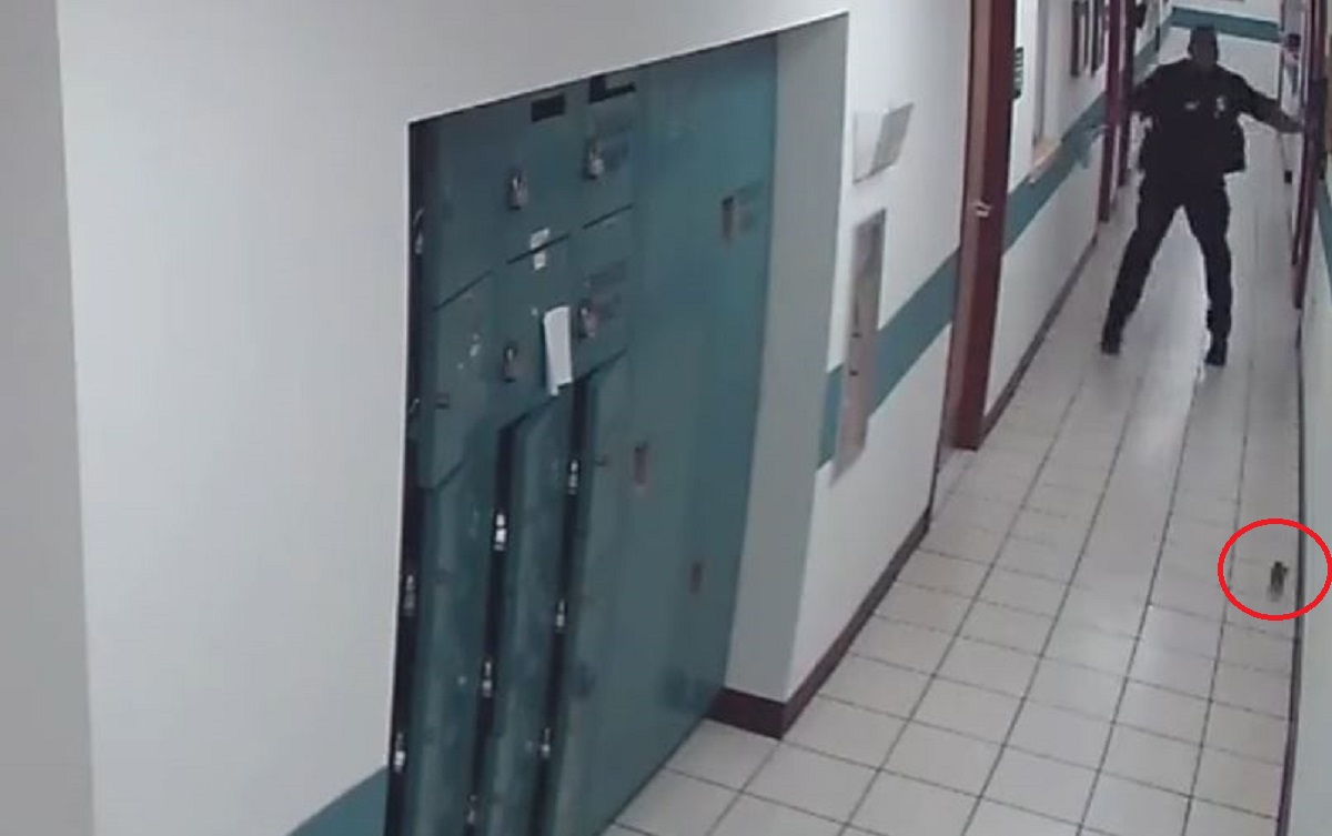 VIDEO Policajac ugledao miša pa poskočio poput curice i pobjegao