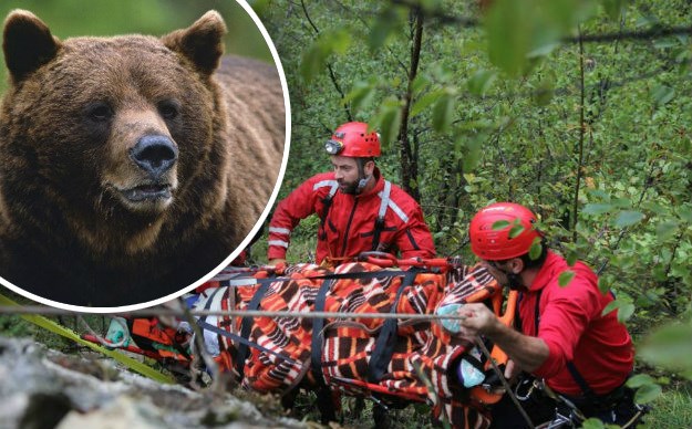 HGSS spasio planinara koji je slomio nogu bježeći od medvjeda