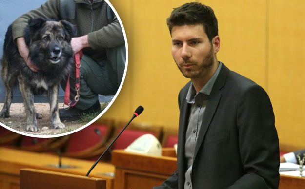 Pernar HDZ-ovcima: "Pas Medo je kriv, a vi niste. To je doseg našeg pravosuđa"