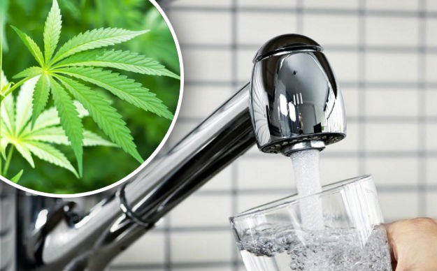 Ljudi u jednom gradu Kolorada ne smiju piti vodu iz slavine jer je puna THC-a