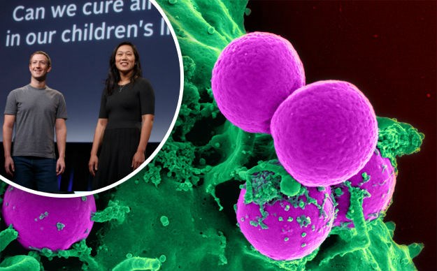 Bliže smo izlječenju svih bolesti nego što mislimo