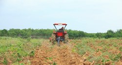 Isplaćeno više od milijun kuna potpora malim poljoprivrednim gospodarstvima
