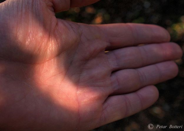 Hvarski fotograf napravio jedinstvene fotografije pomrčine Sunca