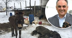 Antun Ponoš magarce koji su bili na rubu smrti vodi u Zagreb: "Spasili smo ih iz pakla"