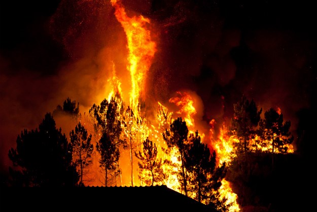 Požar progutao 70-ak hektara borove šume na Pelješcu