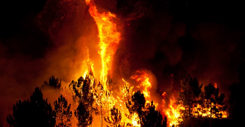 Požari bjesne u Kaliforniji, proglašeno izvanredno stanje