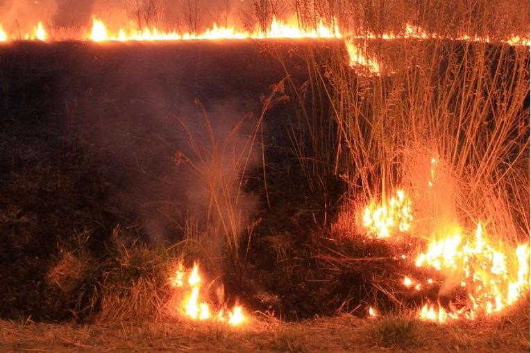 FOTO Požar u Zagrebu, spaljivanje korova u Dubravi se otelo kontroli